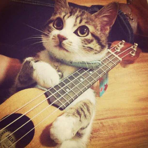 艳妇h圆房～h嗯啊
